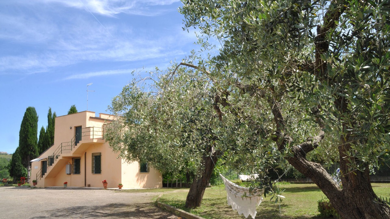 Photo of Outdoor in Collecorvino