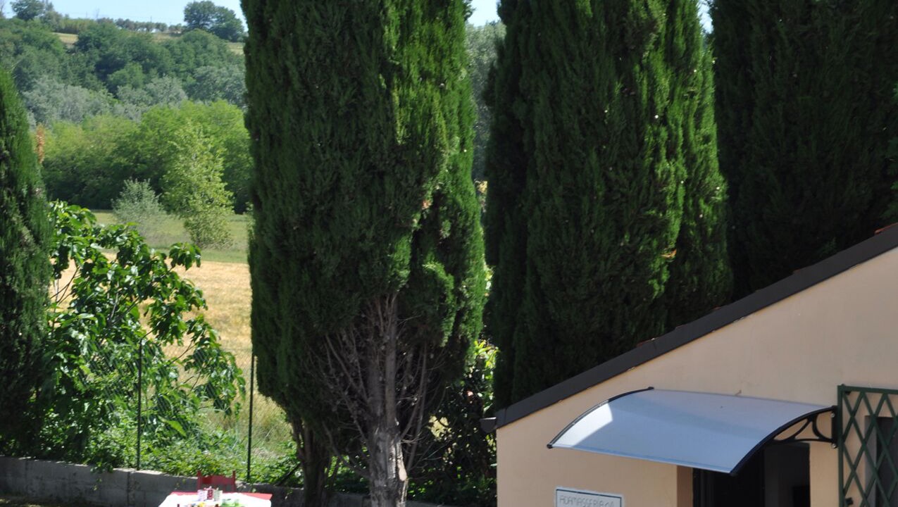Photo of Outdoor in Collecorvino