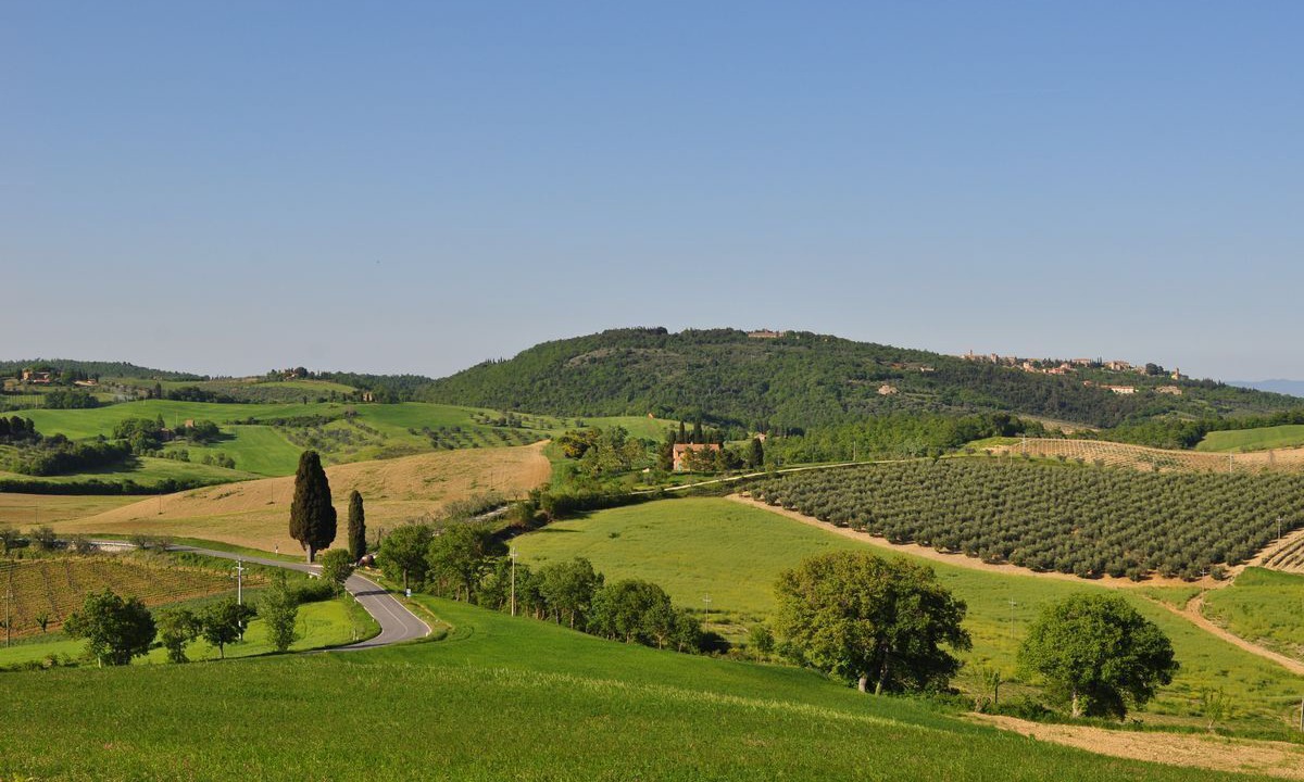 Photo of Others in Montepulciano