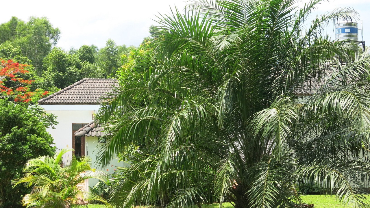 Photo of Outdoor in Ong Lang