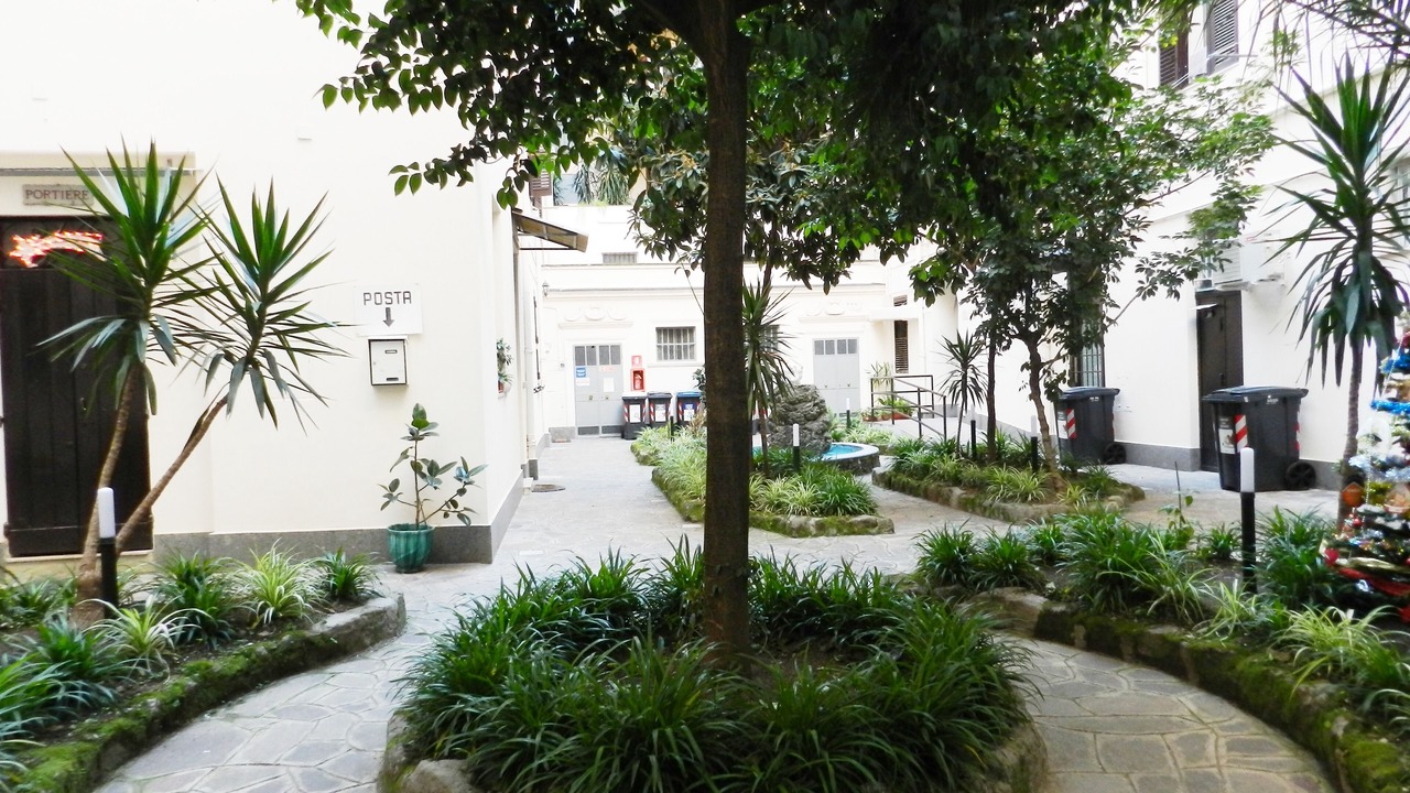 Photo of Outdoor in San Lorenzo