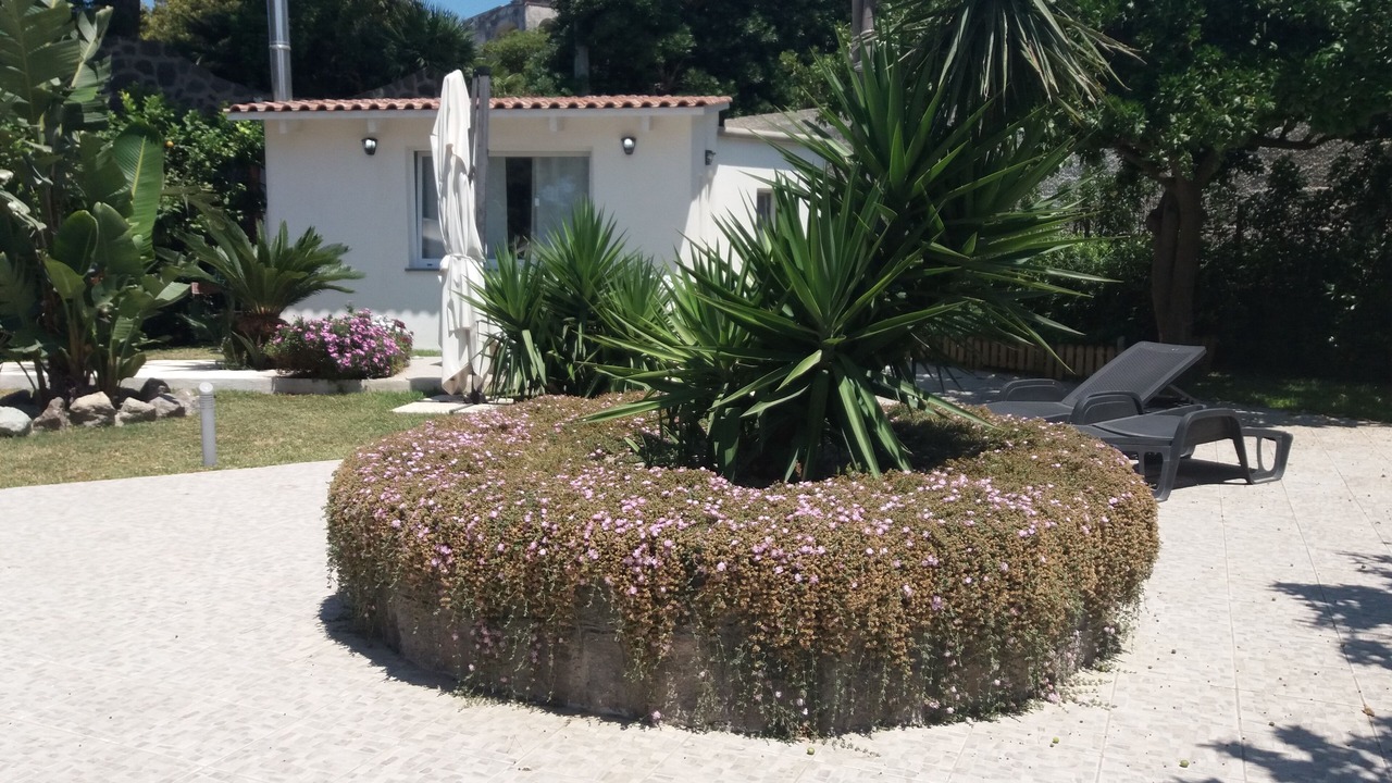Photo of Outdoor in Forio