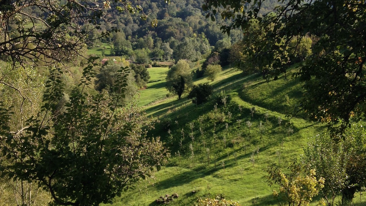 Photo of Others in Monfumo