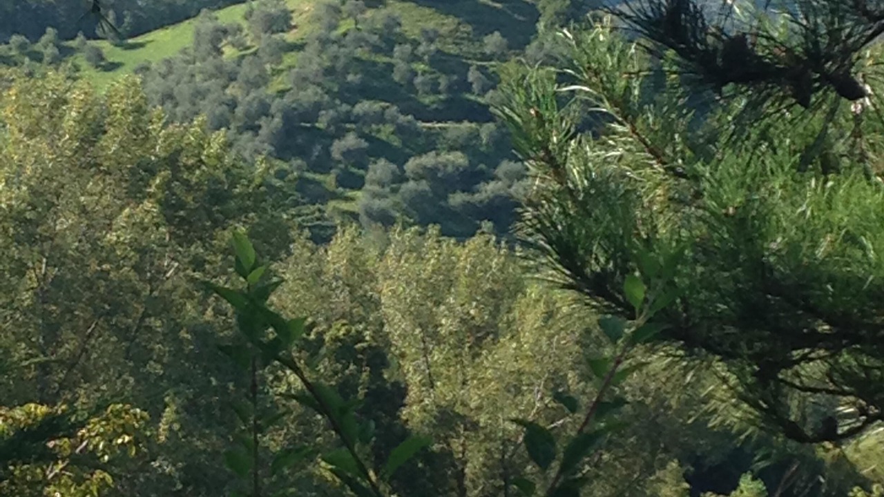 Photo of Outdoor in Monfumo