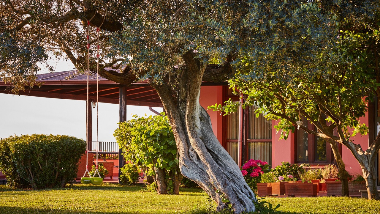 Photo of Outdoor in Palombara Sabina