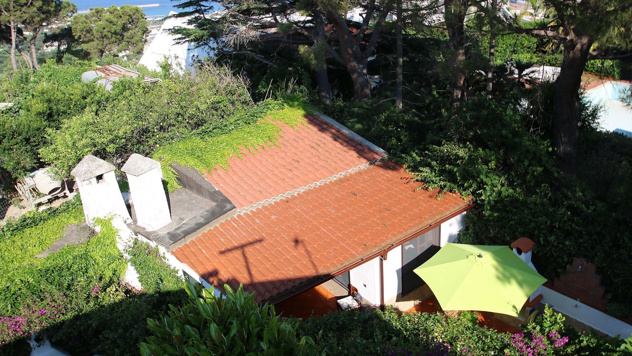 Photo of Others in Lacco Ameno