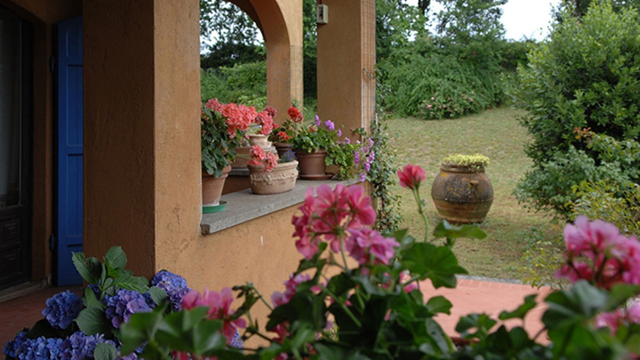 Photo of Outdoor in Vasanello