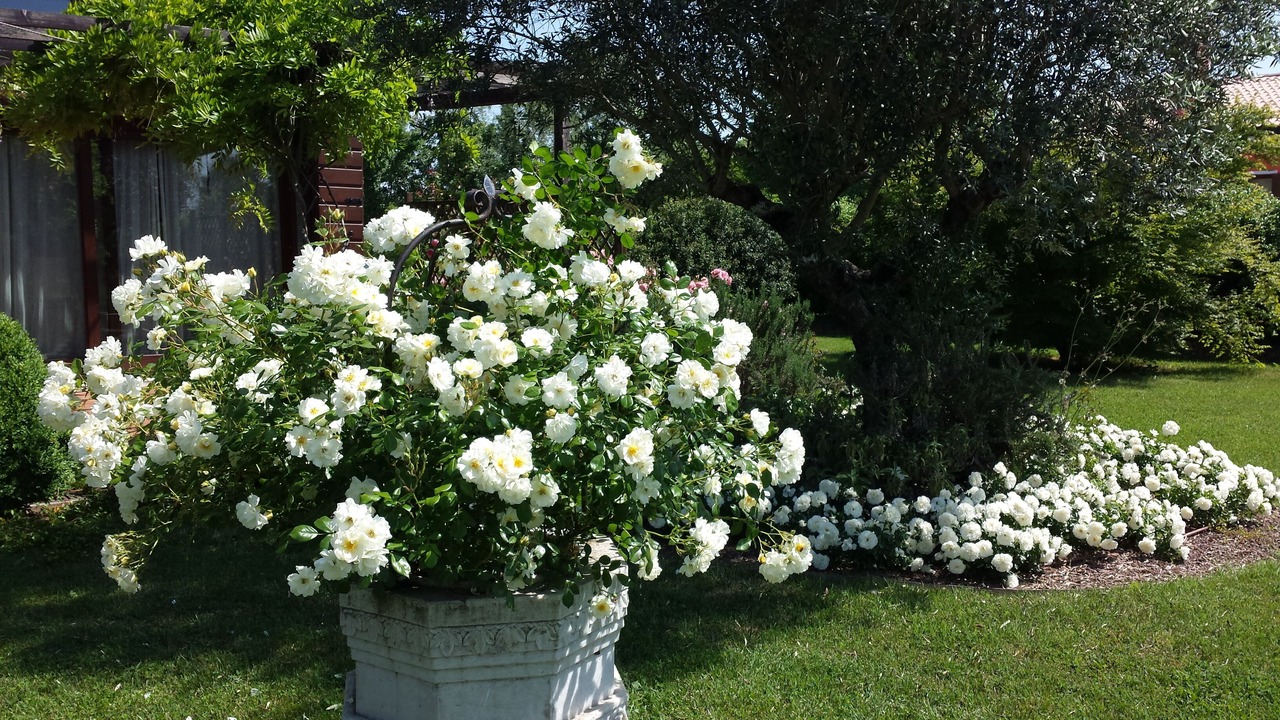 Photo of Outdoor in Casier