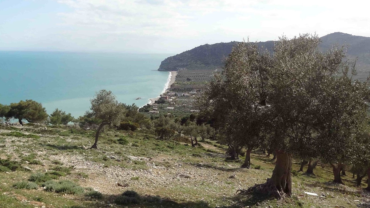 Photo of Outdoor in Mattinata