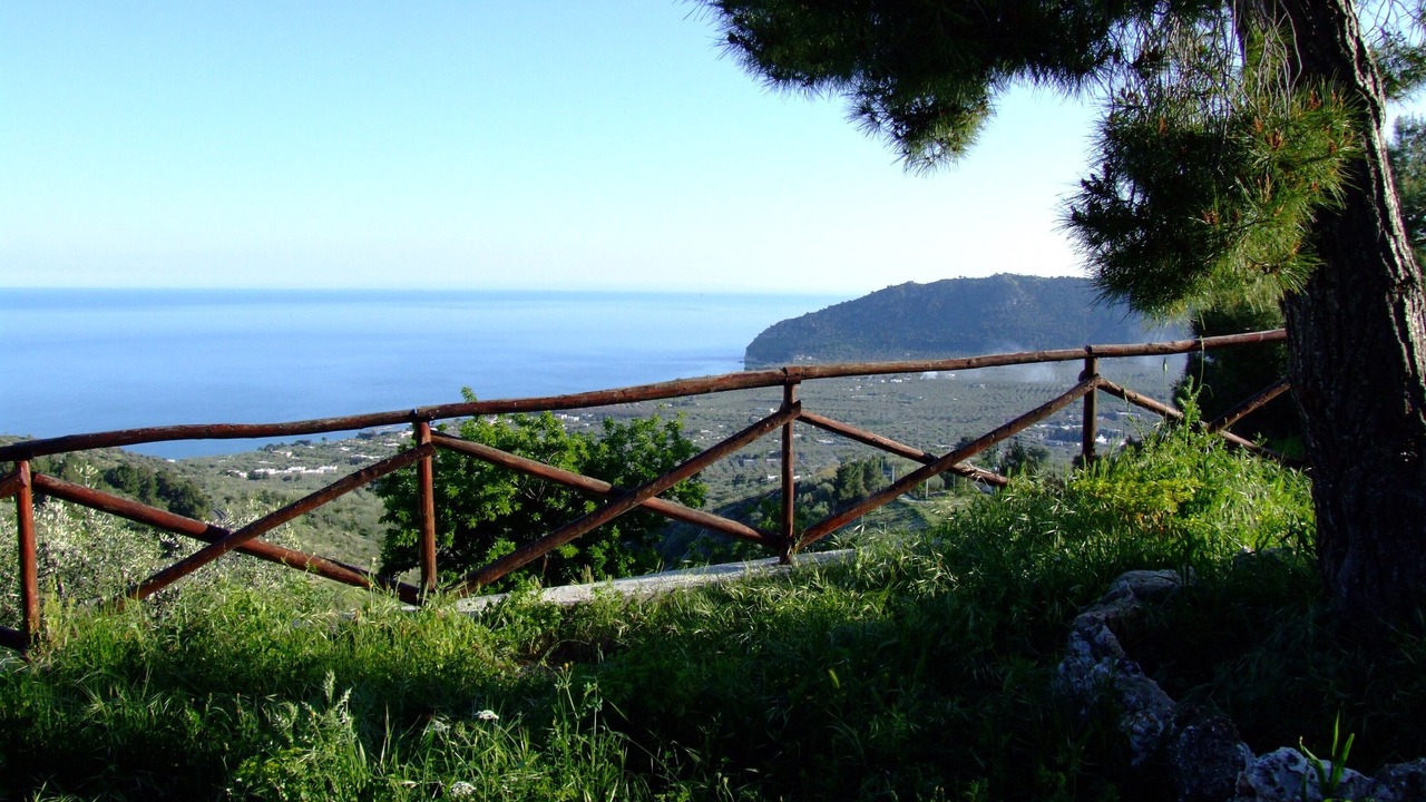 Photo of Others in Mattinata