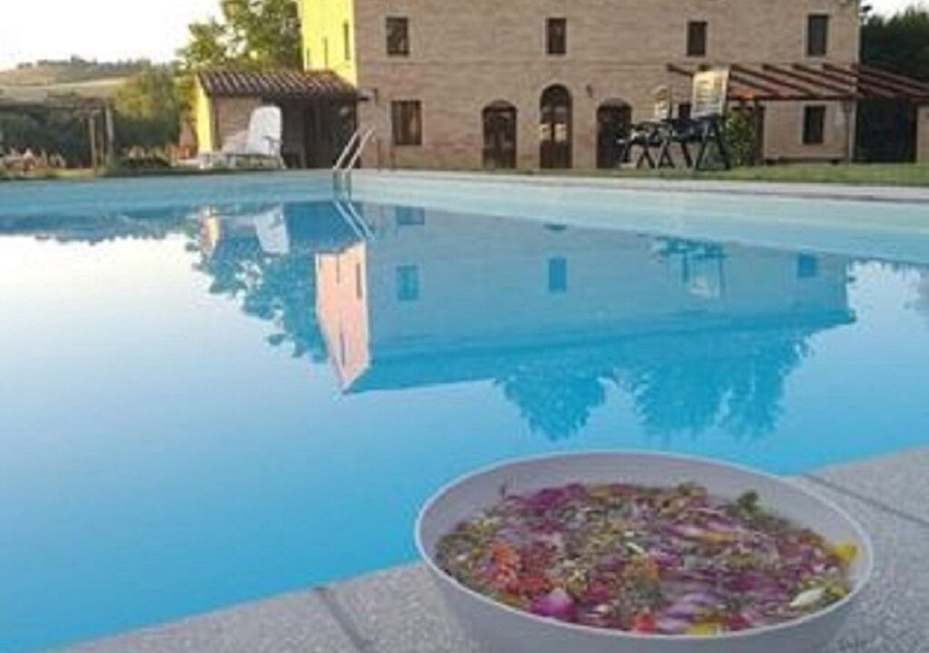 Photo of Outdoor in Mogliano