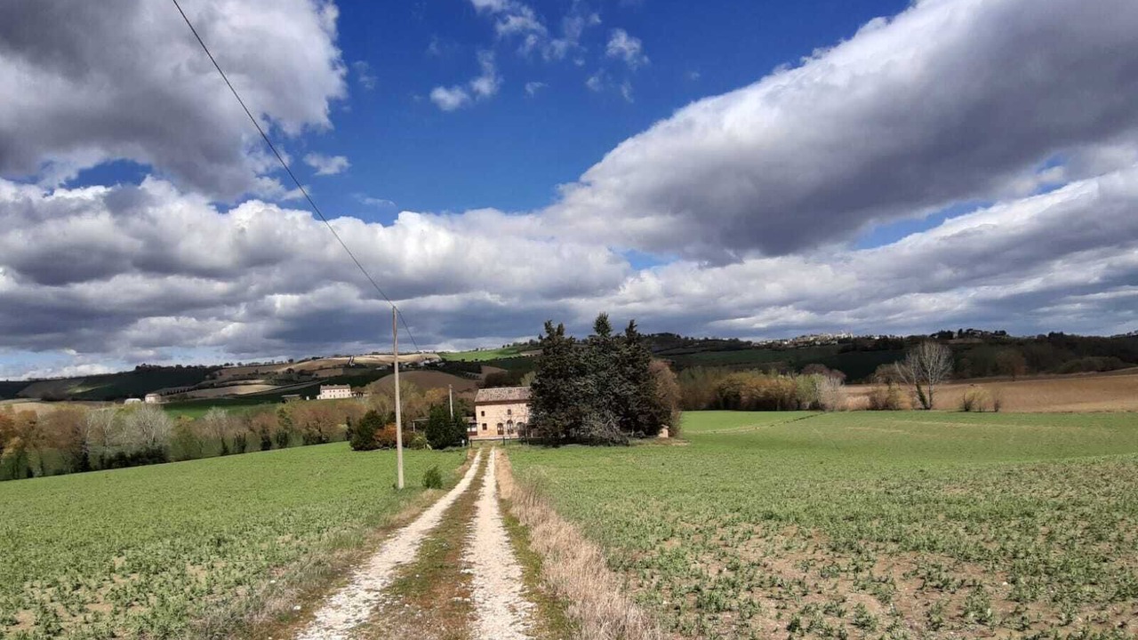 Photo of Others in Mogliano