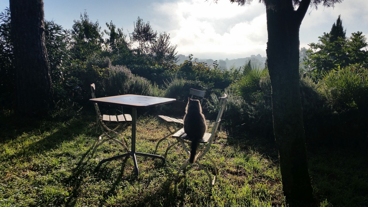Photo of Outdoor in Lubriano