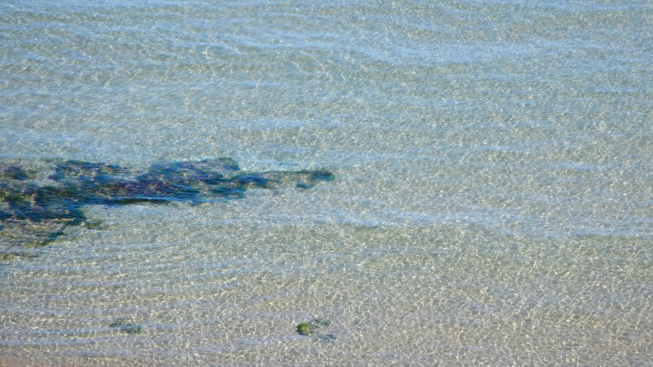 Photo of Others in Termoli