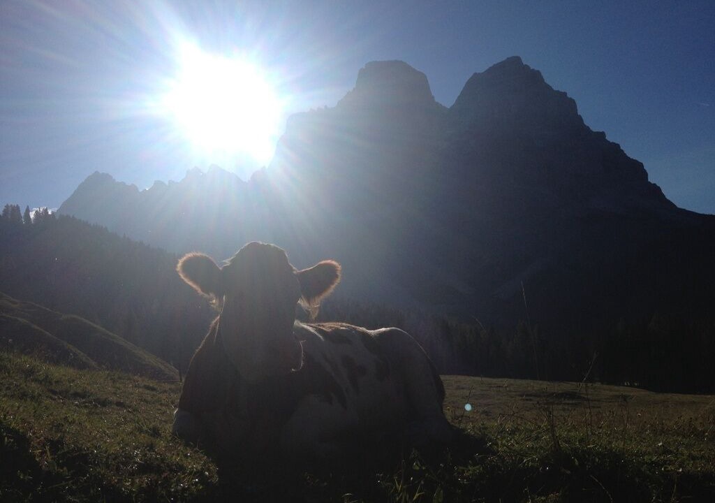 Photo of Others in Selva di Cadore