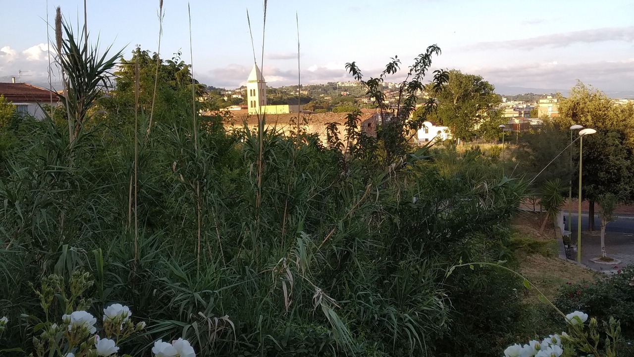 Photo of Outdoor in Scauri