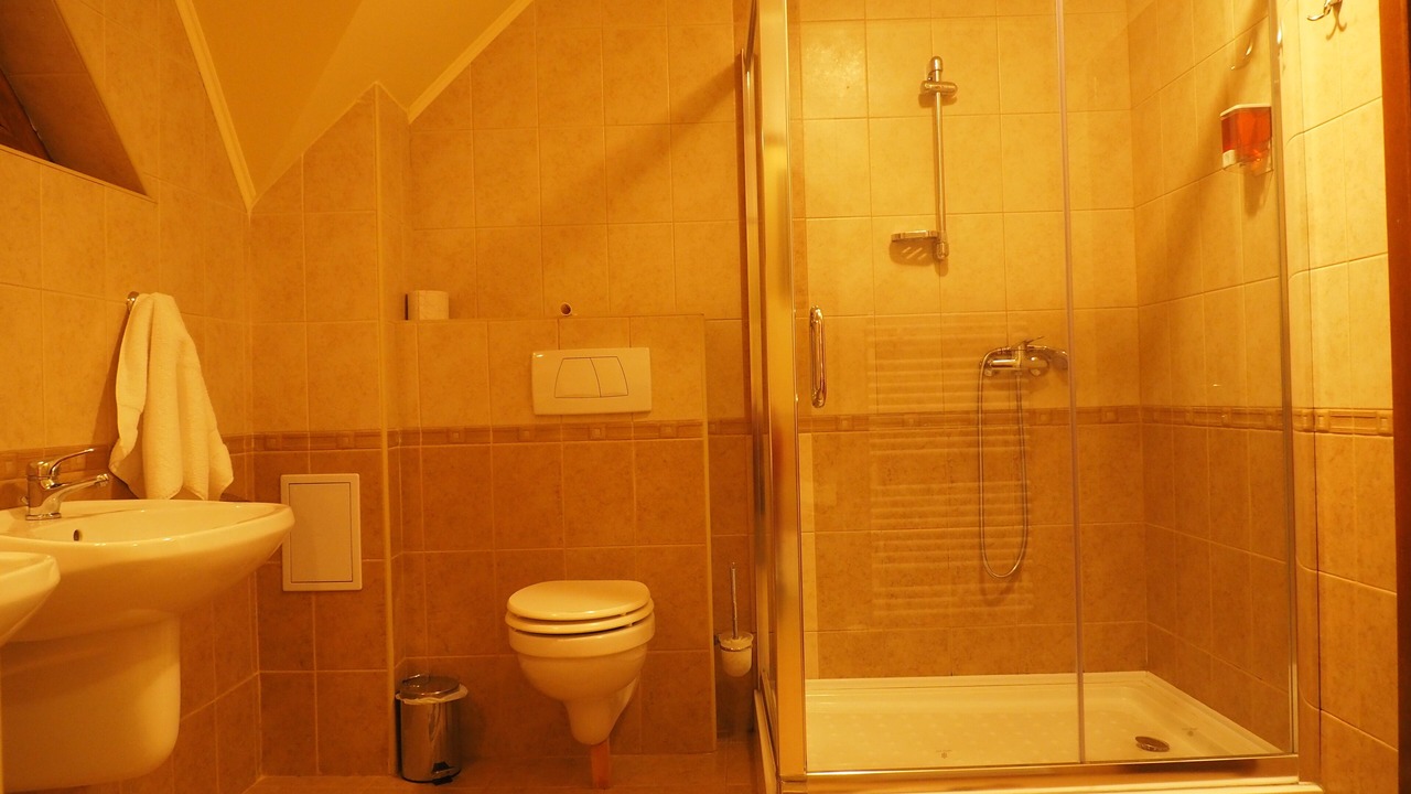 Photo of Bathroom in Predeal
