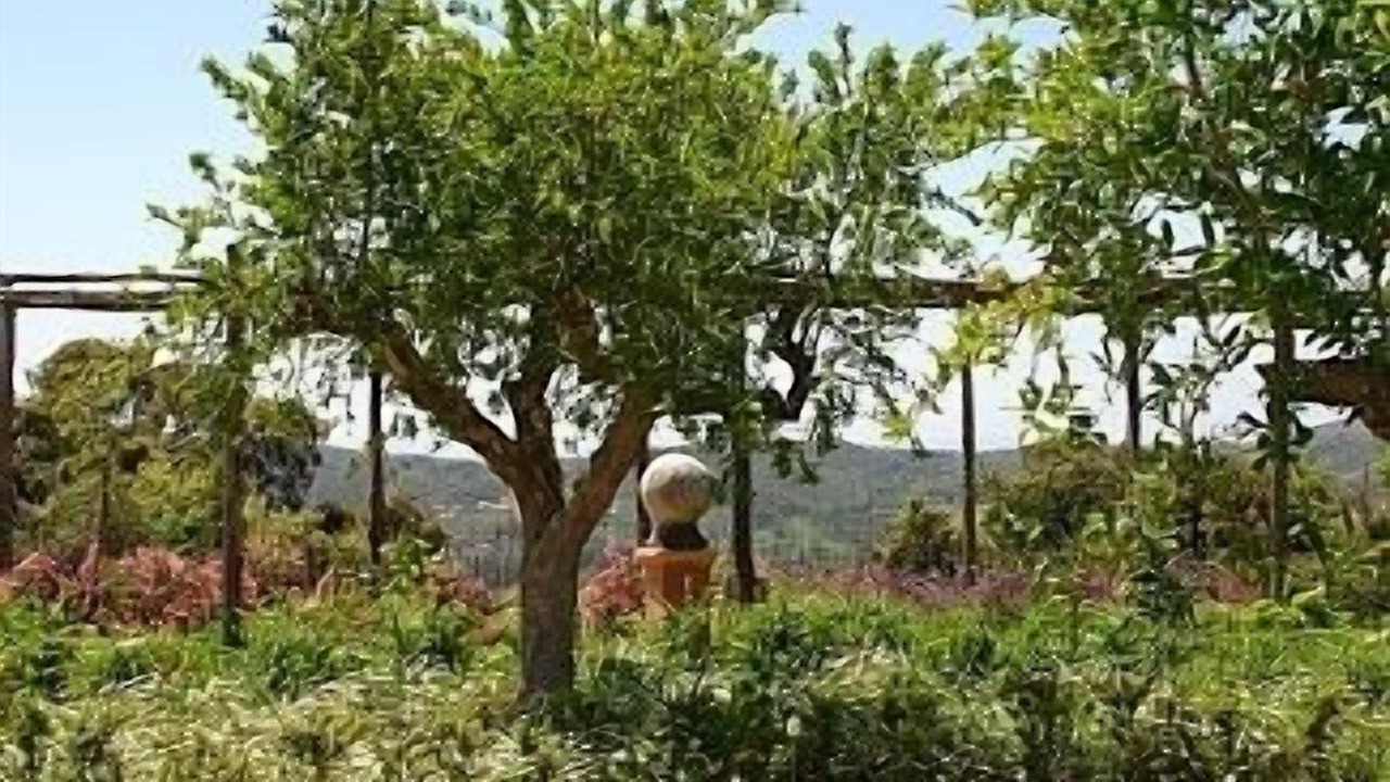 Photo of Outdoor in Itri