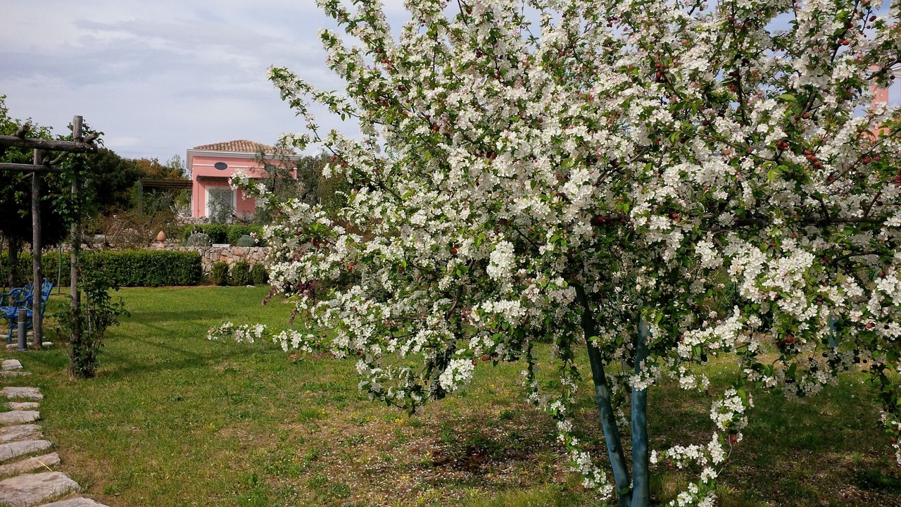 Photo of Outdoor in Itri