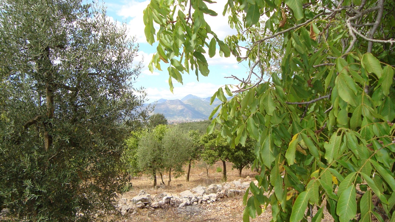 Photo of Outdoor in Fondi
