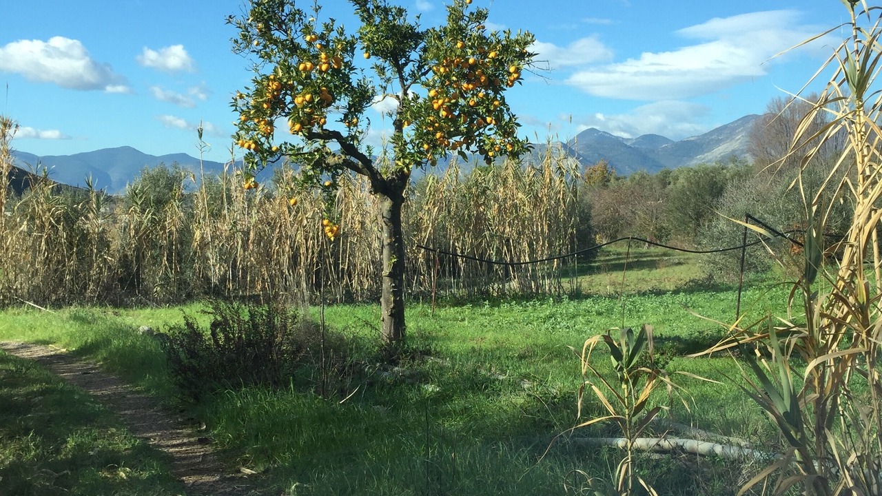 Photo of Outdoor in Fondi