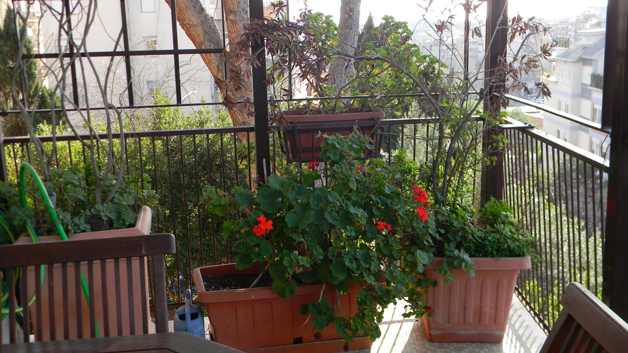 Photo of Outdoor in Monteverde