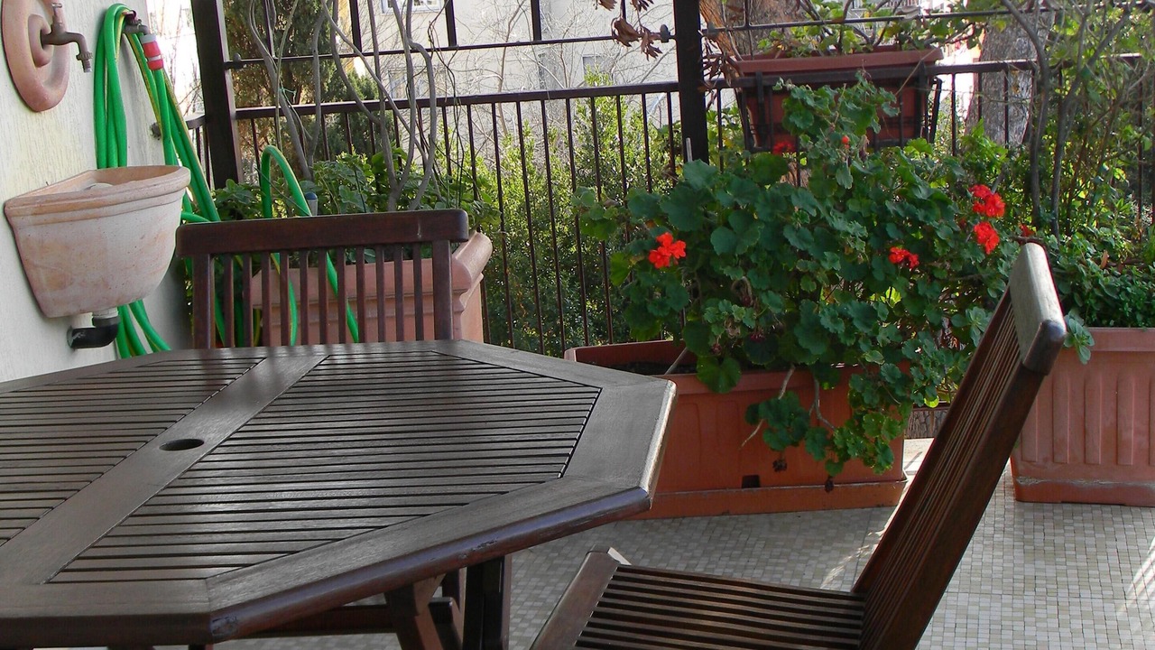 Photo of Outdoor in Monteverde
