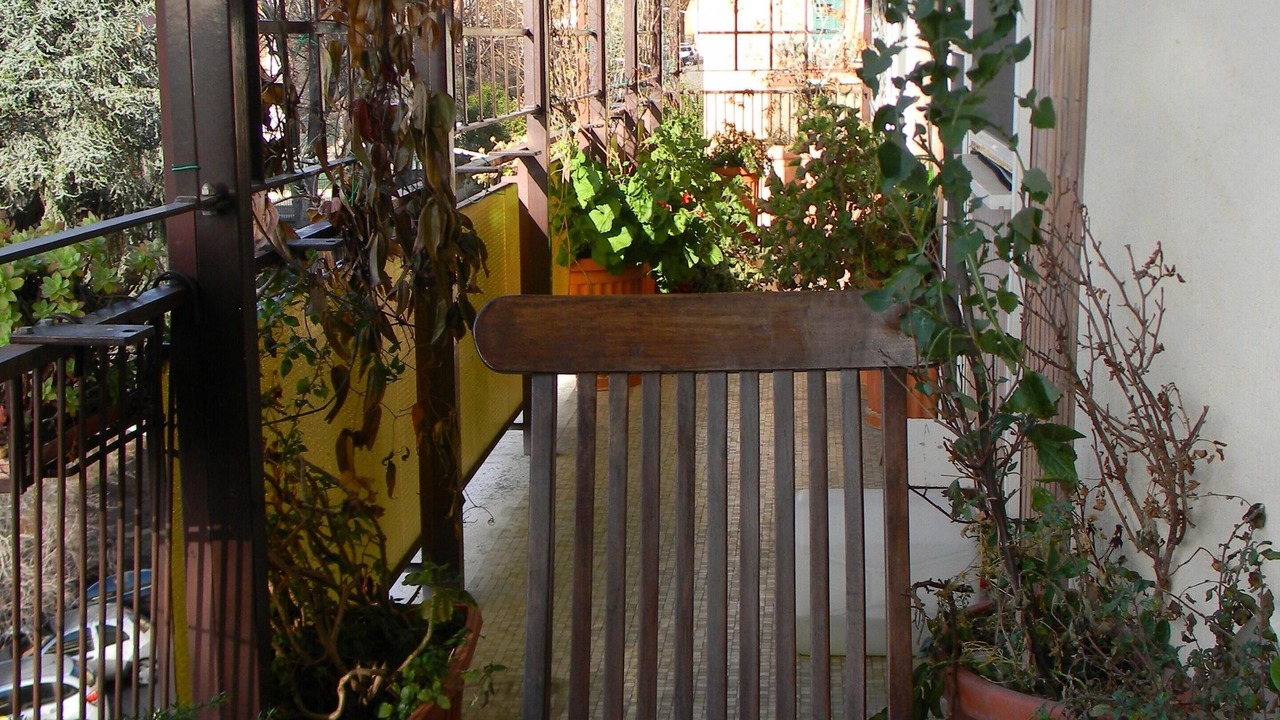 Photo of Patio Balcony in Monteverde