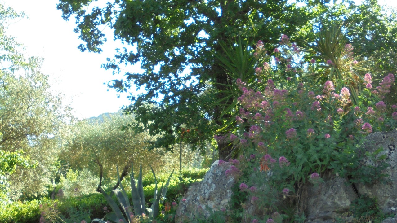 Photo of Outdoor in Spigno Saturnia Superiore