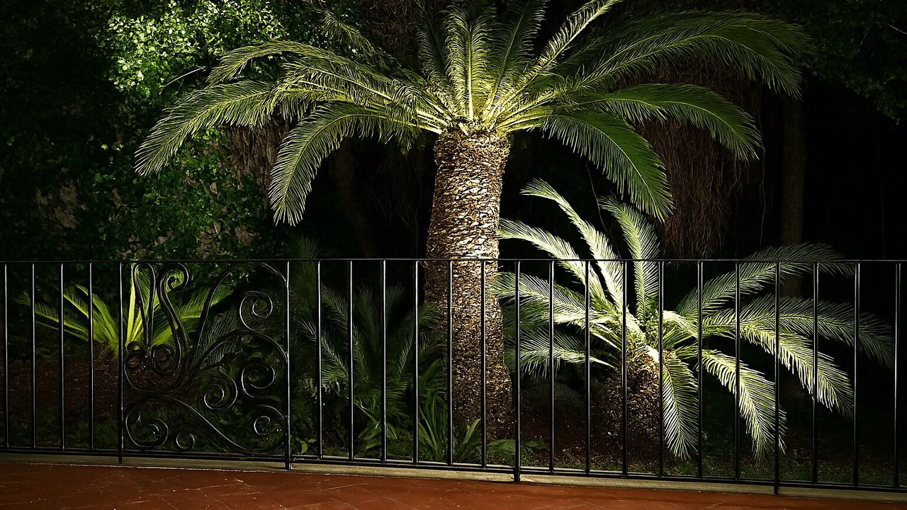 Photo of Outdoor in Casamicciola Terme