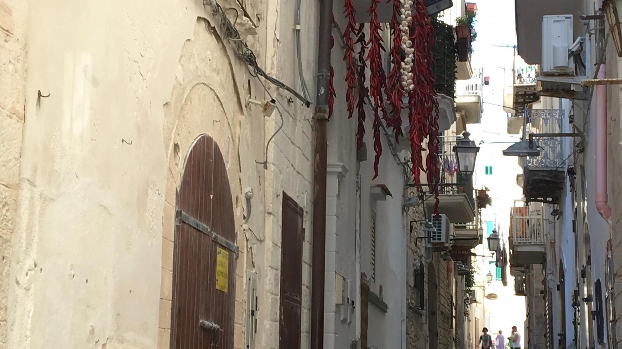 Photo of Outdoor in Vieste