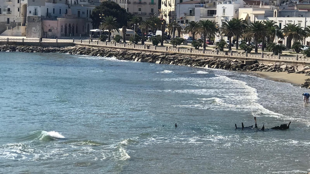 Photo of Others in Vieste