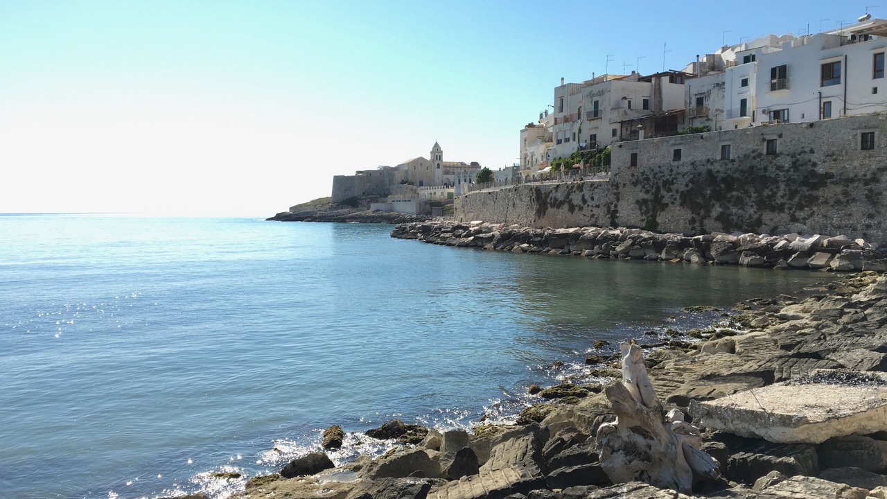 Photo of Others in Vieste