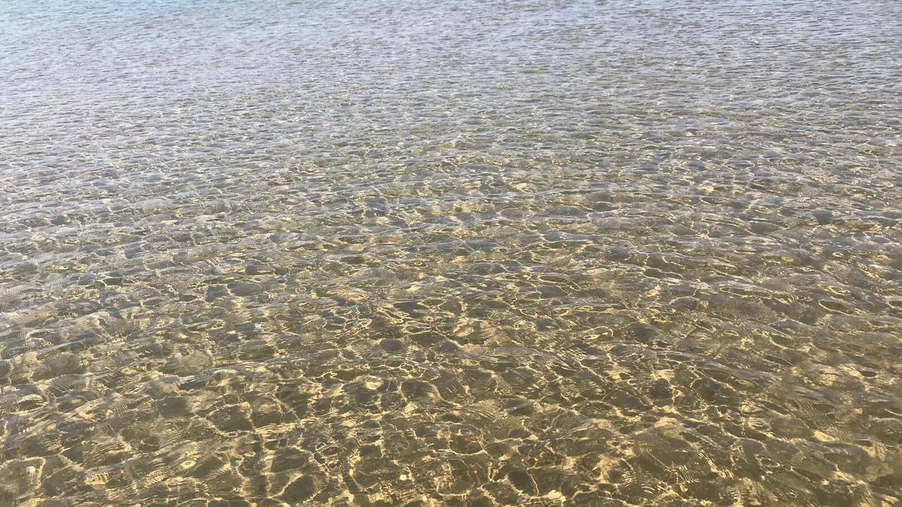 Photo of Others in Vieste