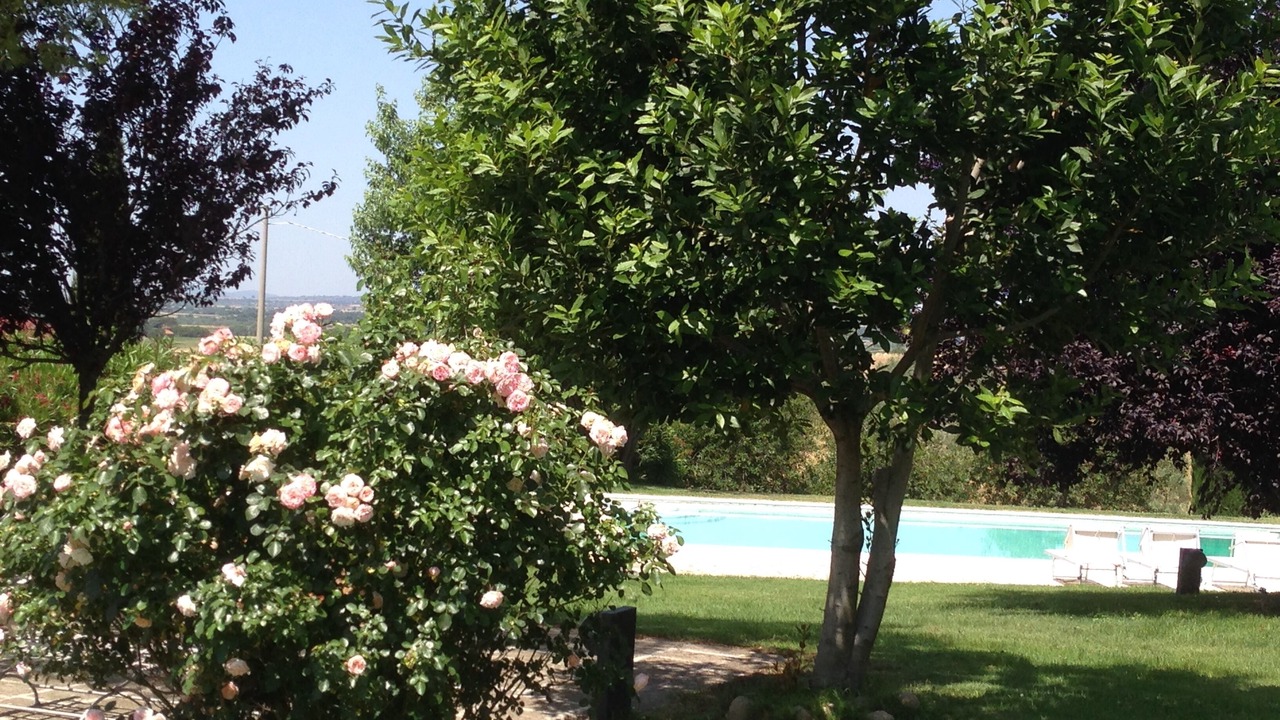 Photo of Outdoor in Viterbo