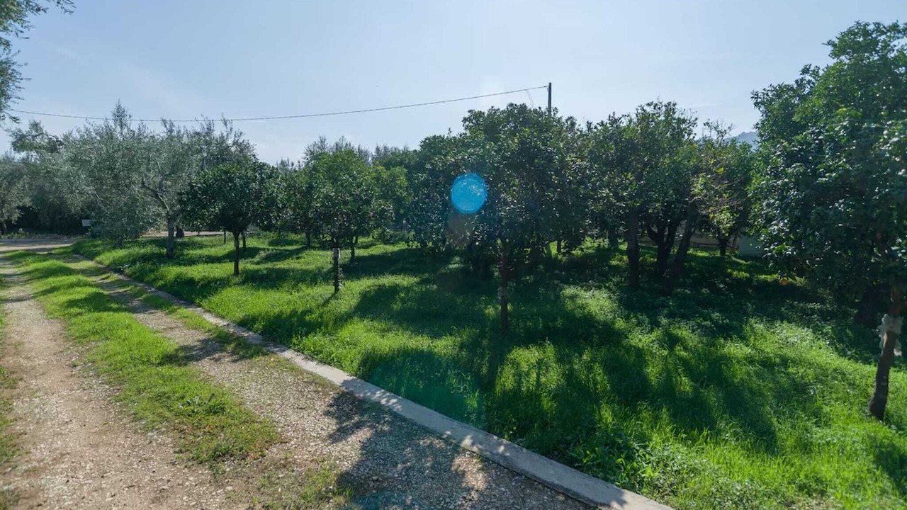 Photo of Outdoor in Mattinata