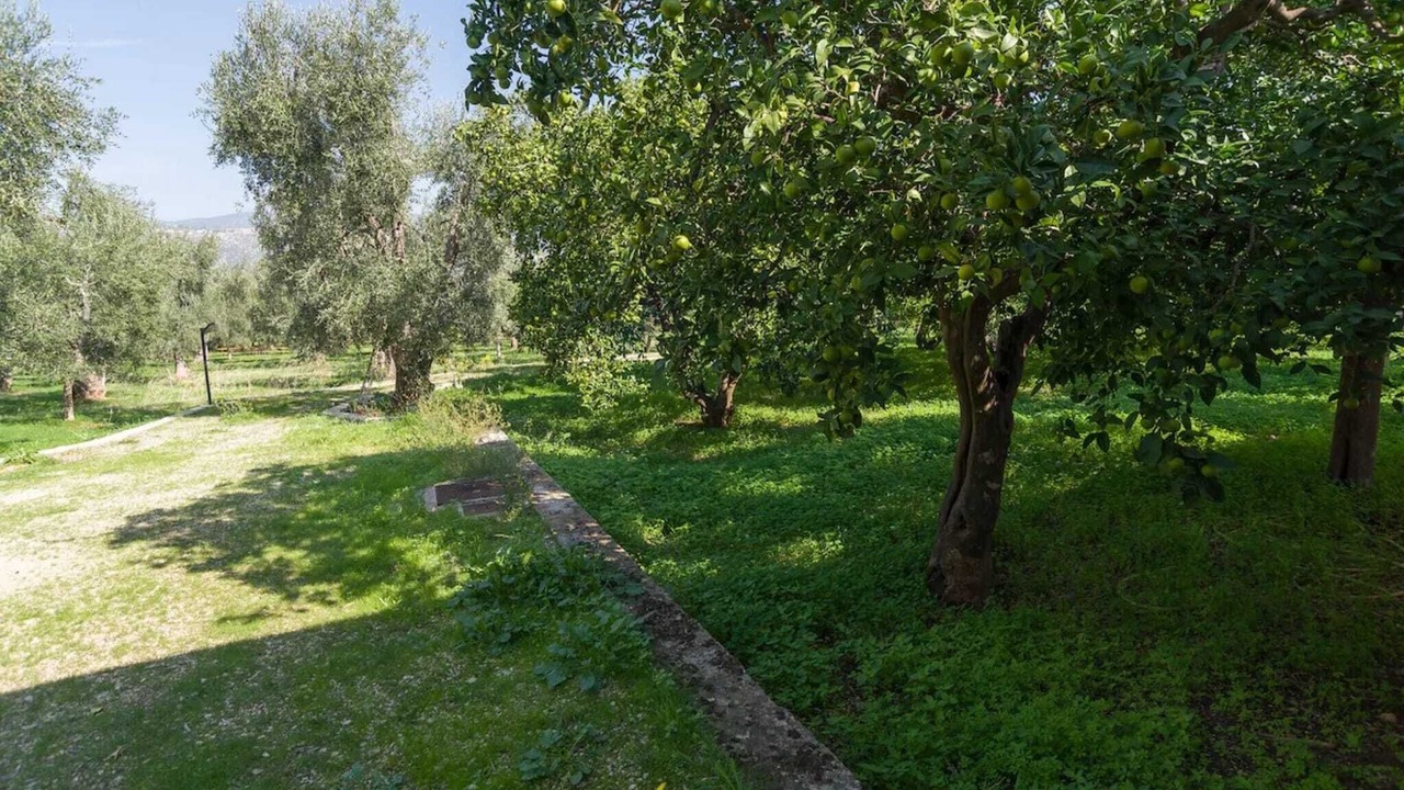 Photo of Outdoor in Mattinata