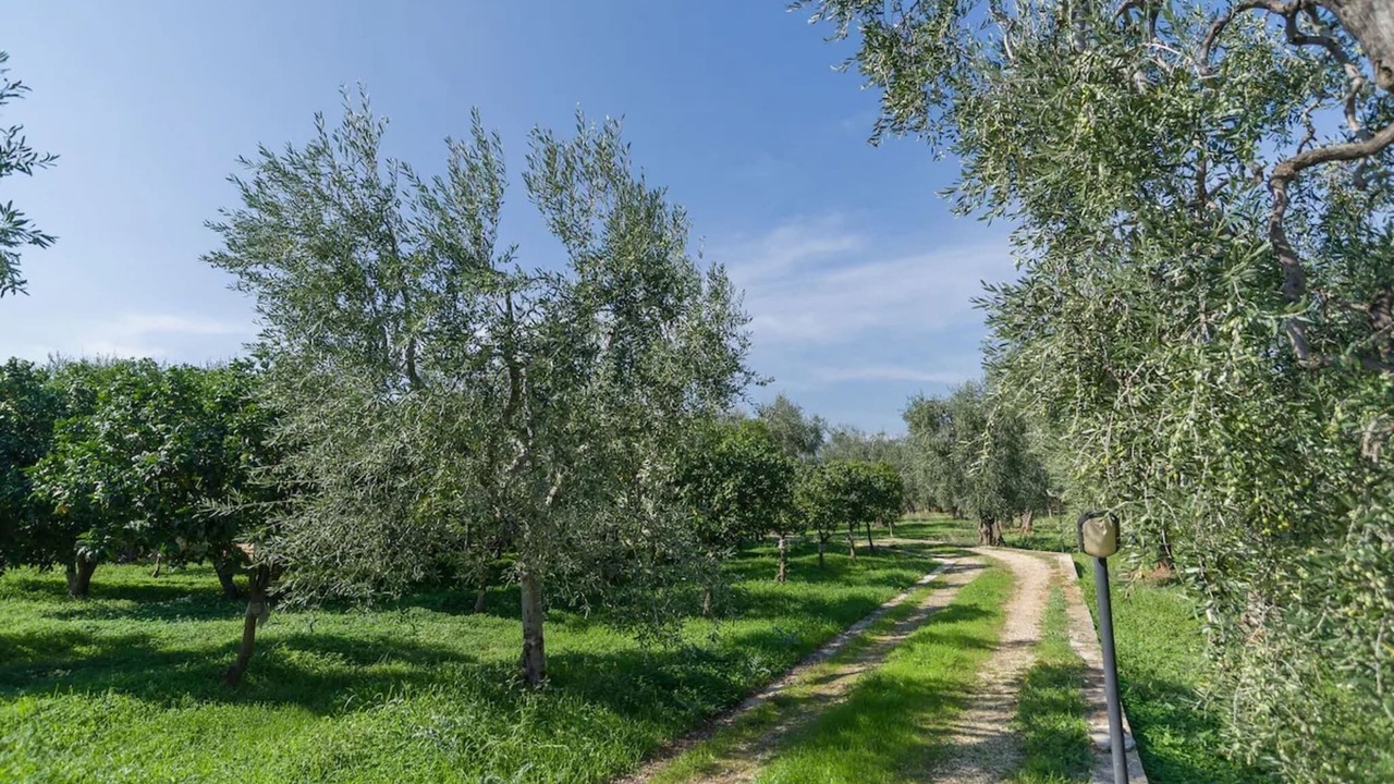 Photo of Others in Mattinata