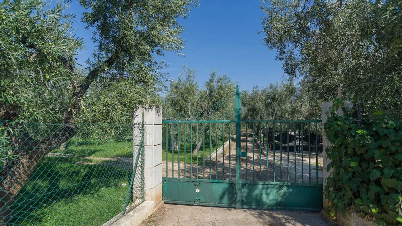 Photo of Outdoor in Mattinata