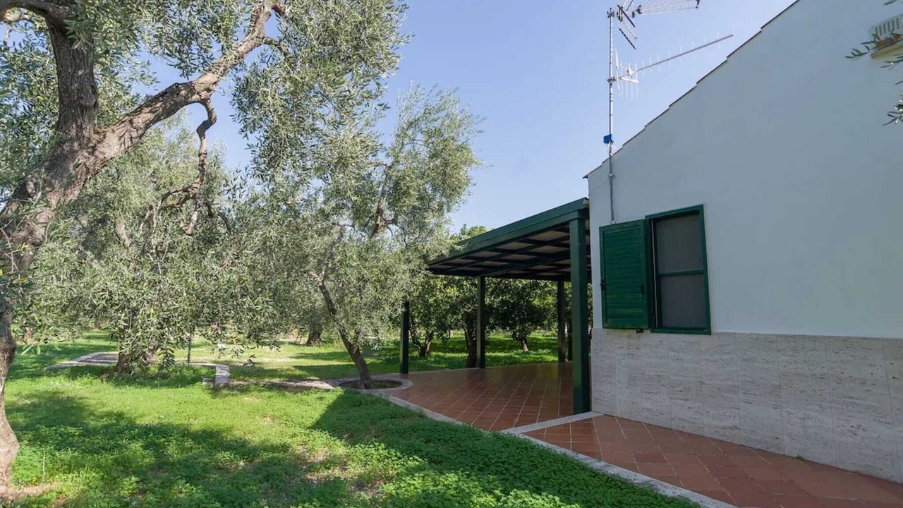 Photo of Outdoor in Mattinata