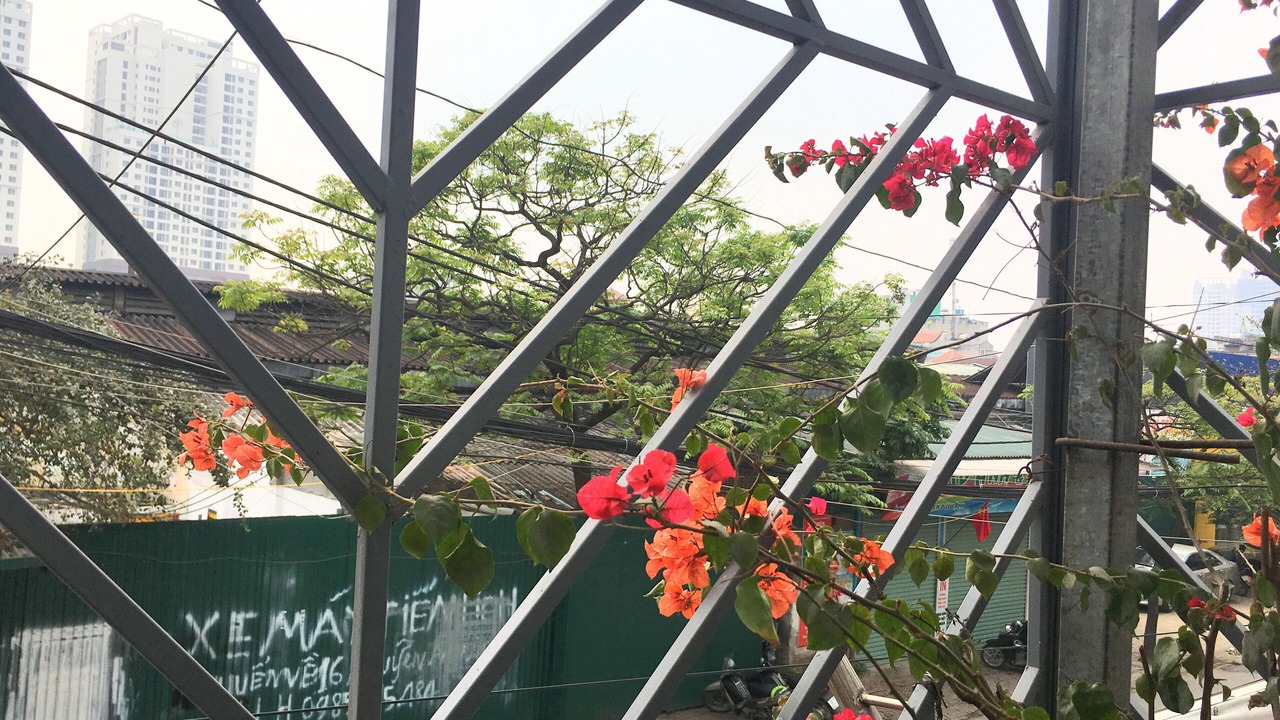 Photo of Outdoor in Hoang Mai