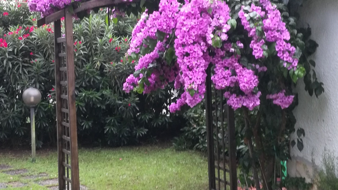 Photo of Outdoor in Terracina