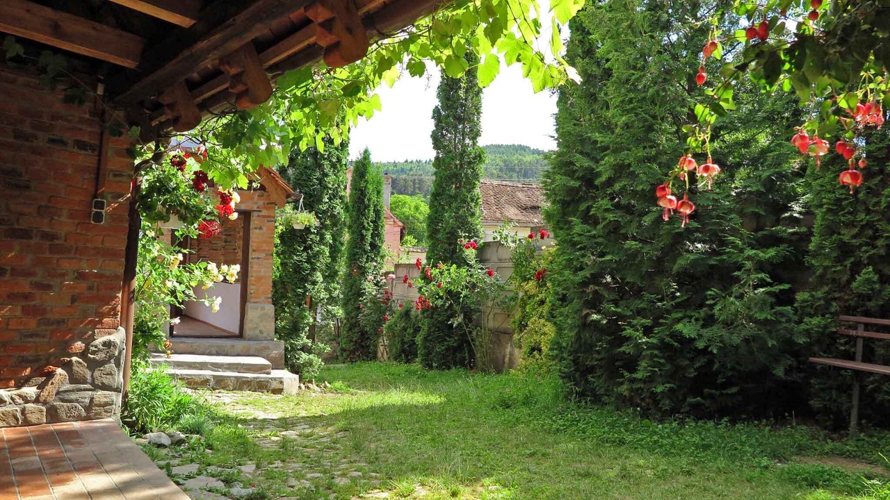 Photo of Outdoor in Saliste