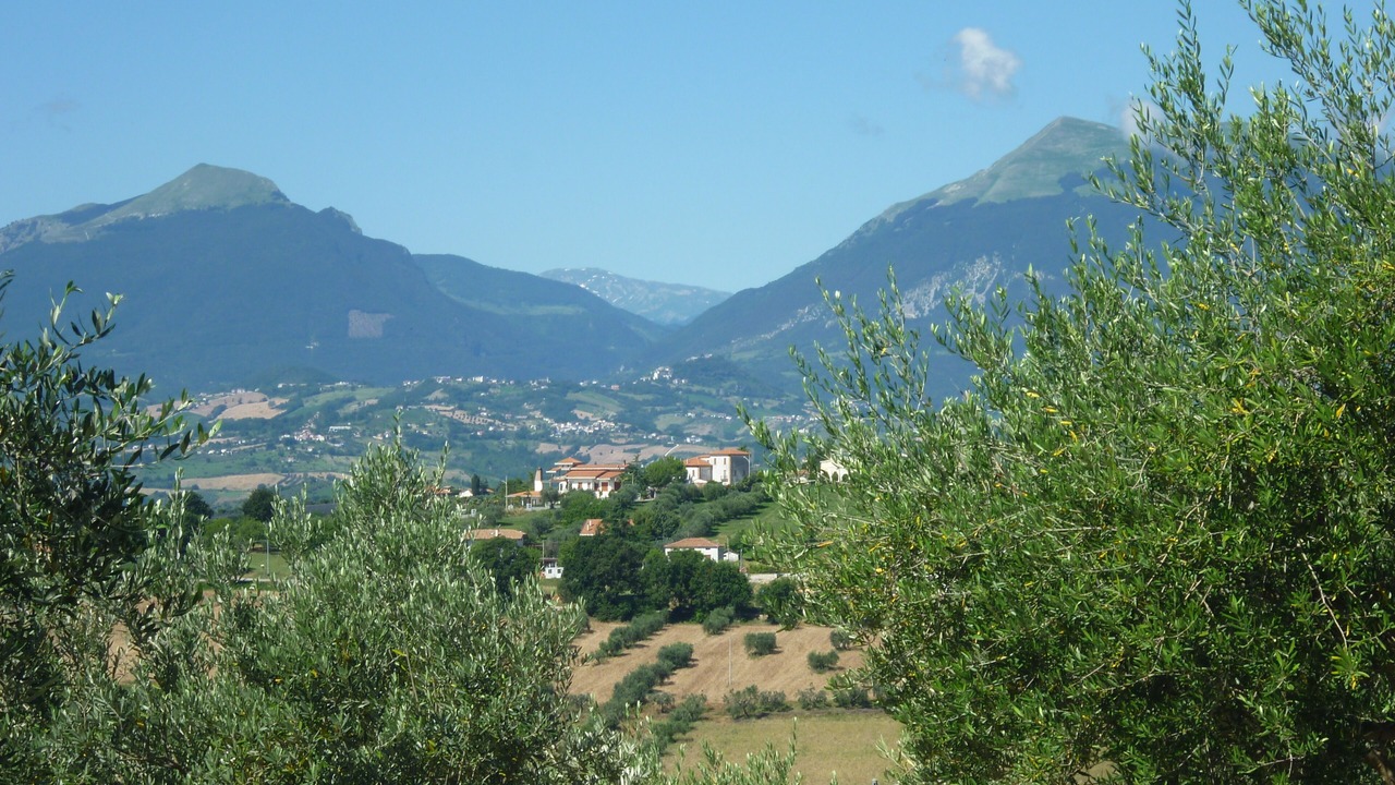 Photo of Others in Nereto