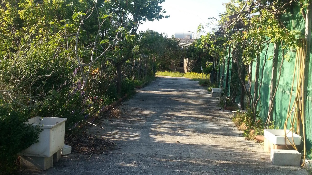 Photo of Outdoor in Lesina