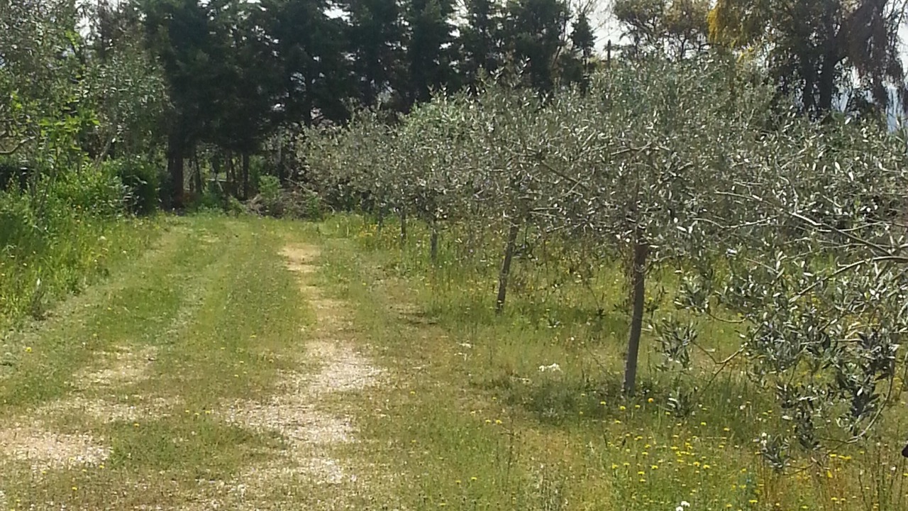 Photo of Outdoor in Lesina