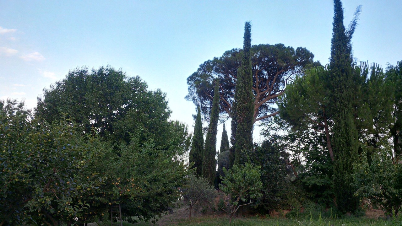 Photo of Outdoor in Pollutri