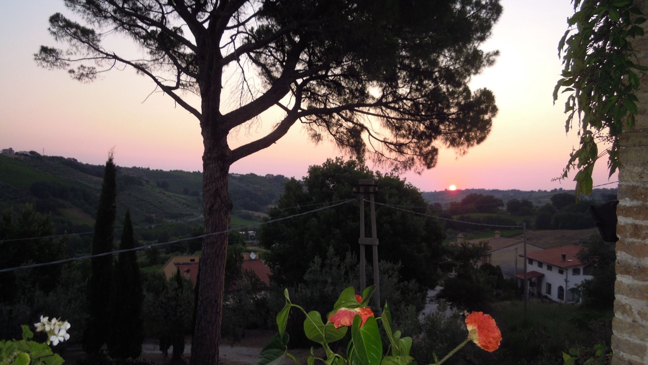 Photo of Outdoor in Pollutri