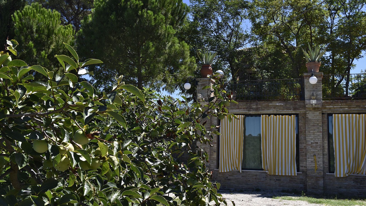 Photo of Outdoor in Pollutri