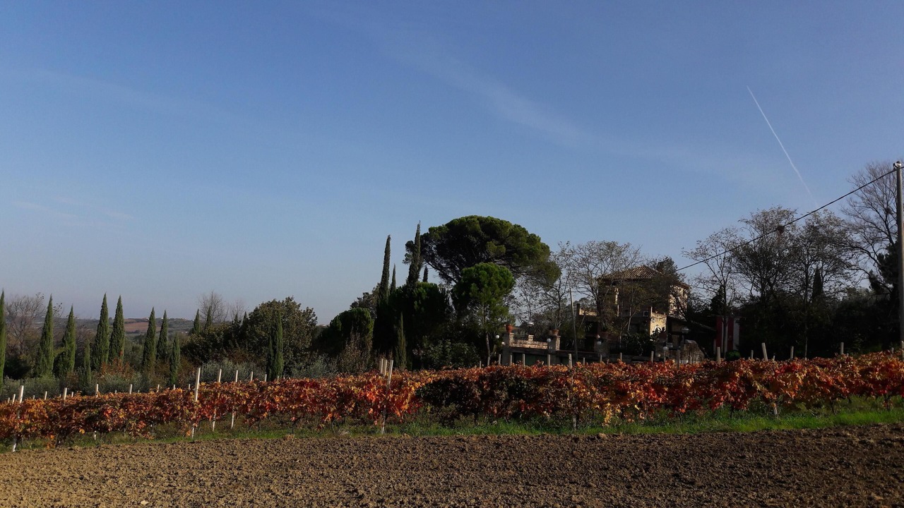 Photo of Outdoor in Pollutri